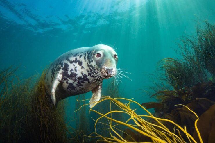 Image for What went right this week: how to stop politicians lying, plus more