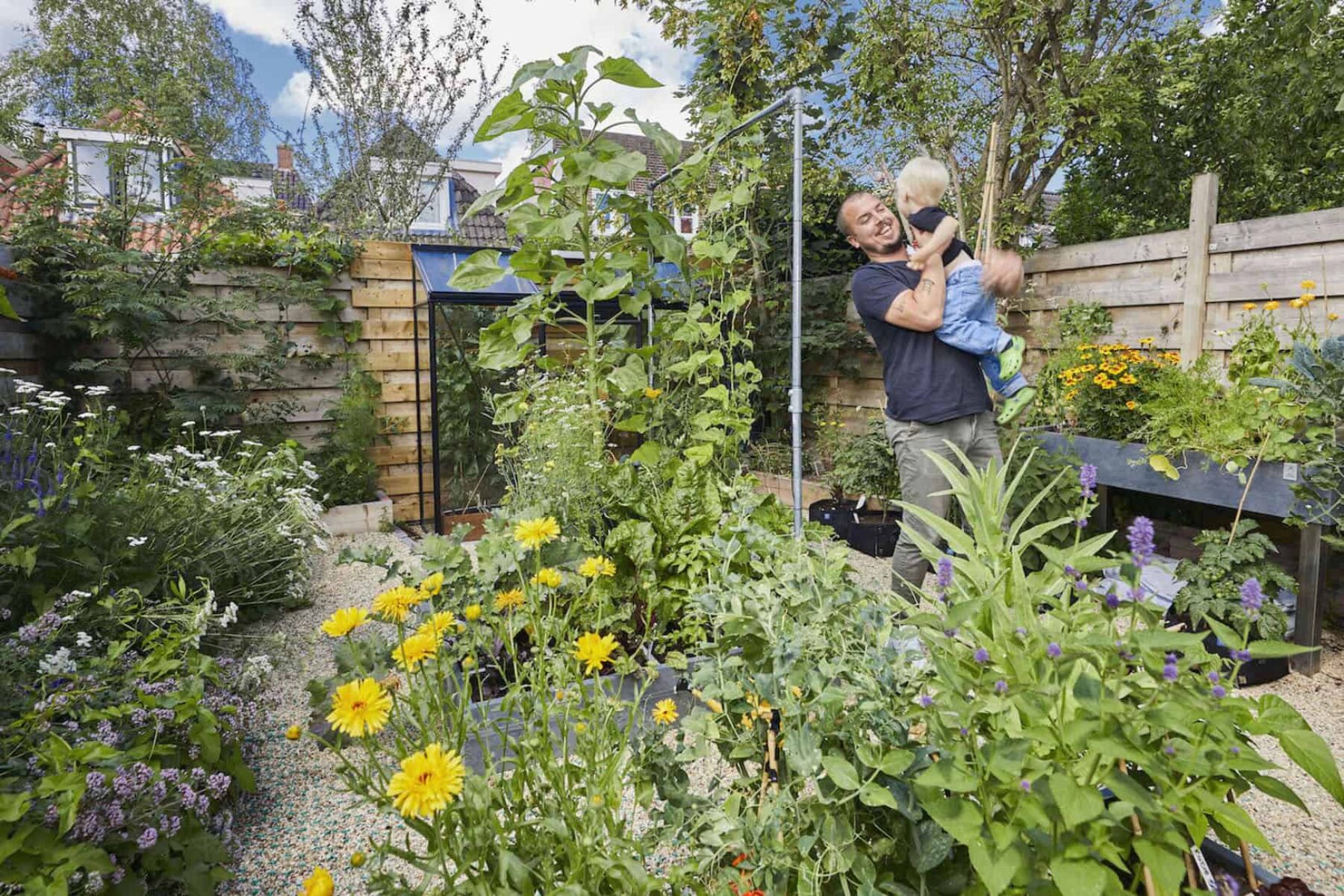 Image for The Dutch ‘tile whipping’ competition to green gardens and streets