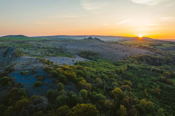 Image for A powerful new film shows nature restoration in action