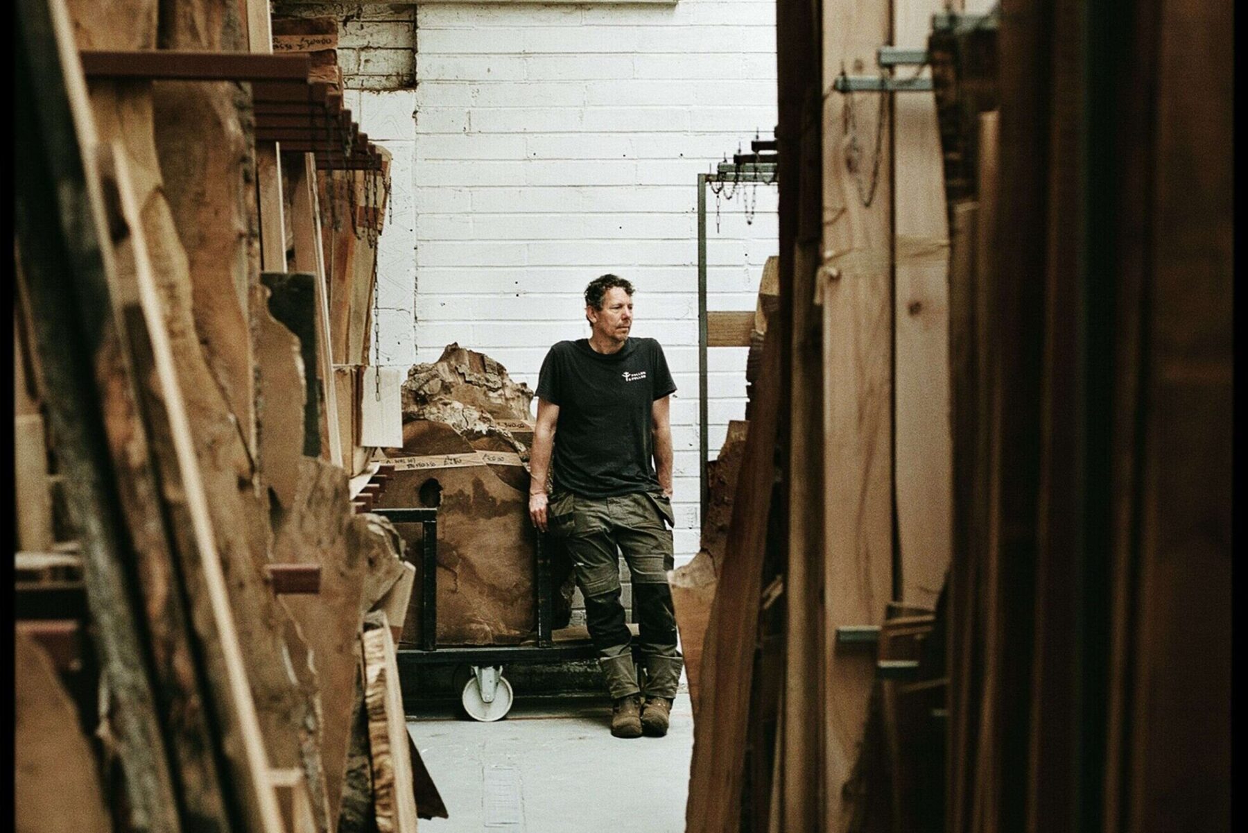 Image for Capital grains: the urban trees getting a second life