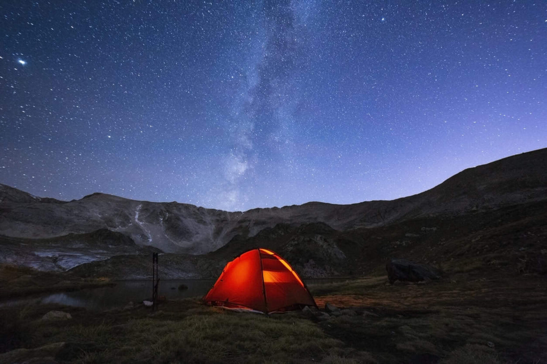 Image for What went right this week: a wild camper’s delight, plus more