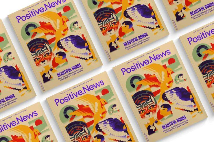 Image for ‘Rock stars’ of rewilding. What to expect in the new issue of Positive News