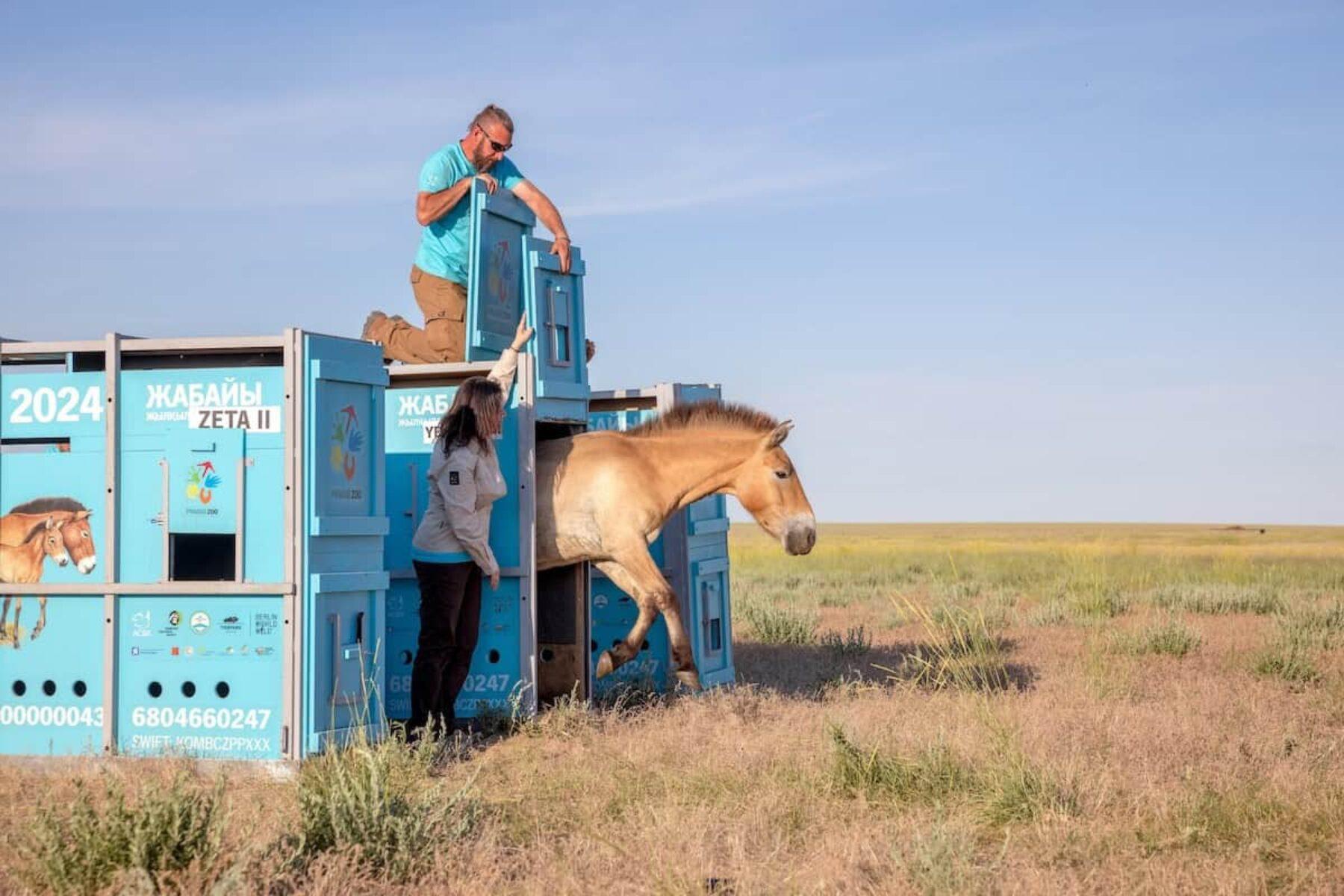 Image for What went right this week: progress in uncertain times, plus more