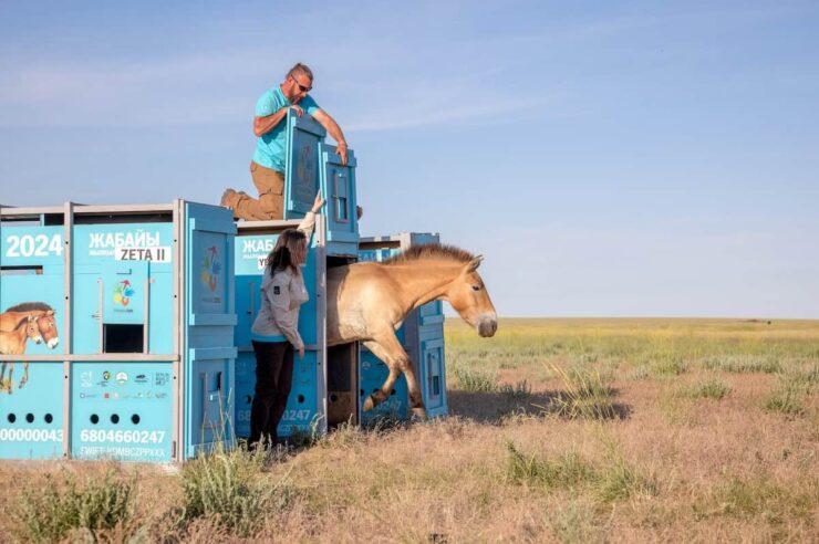 Image for What went right this week: progress in uncertain times, plus more