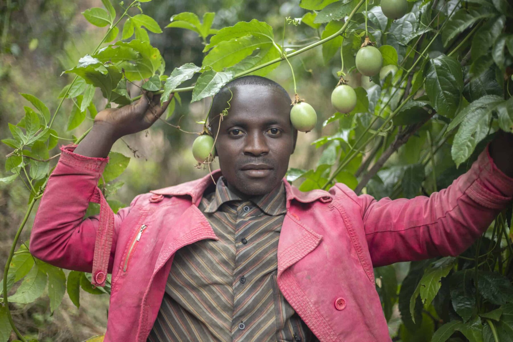 Image for Co-operative business: a recipe for resilience in turbulent times