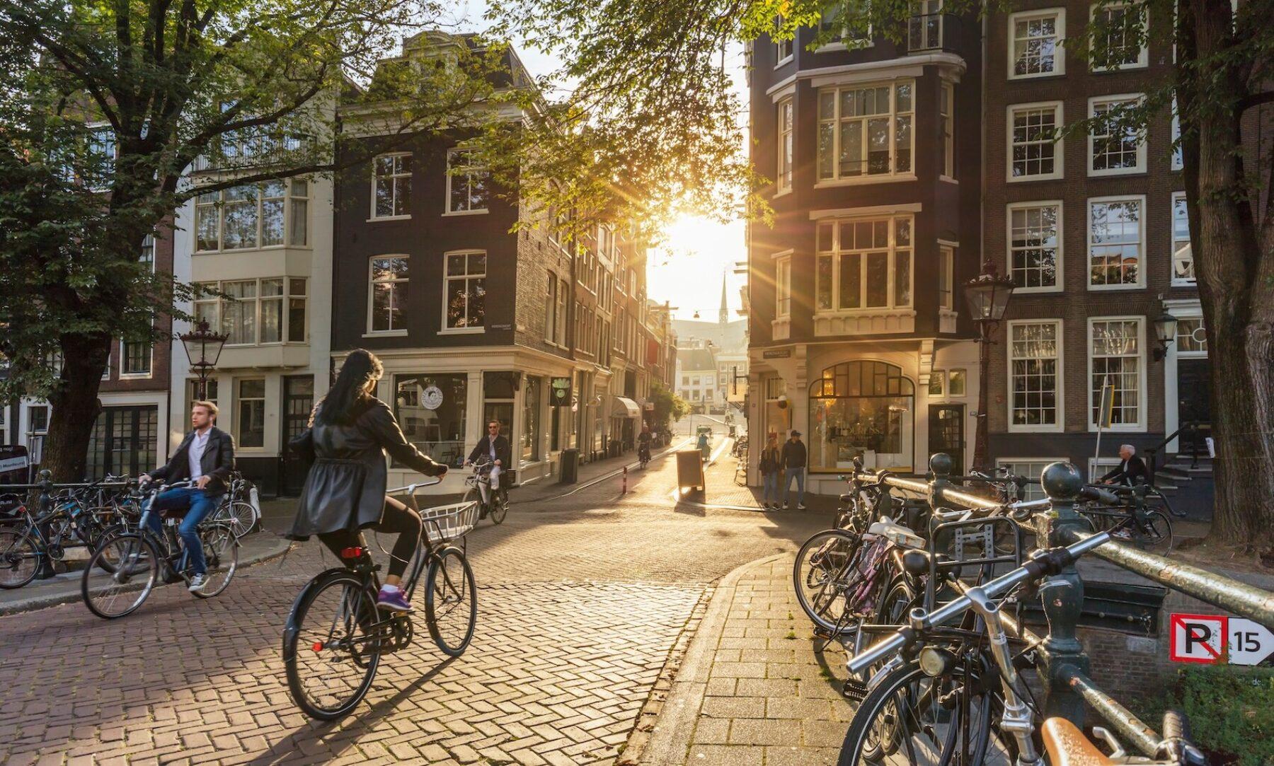 Image for What went right this week: a fossil fuel exit strategy, plus more