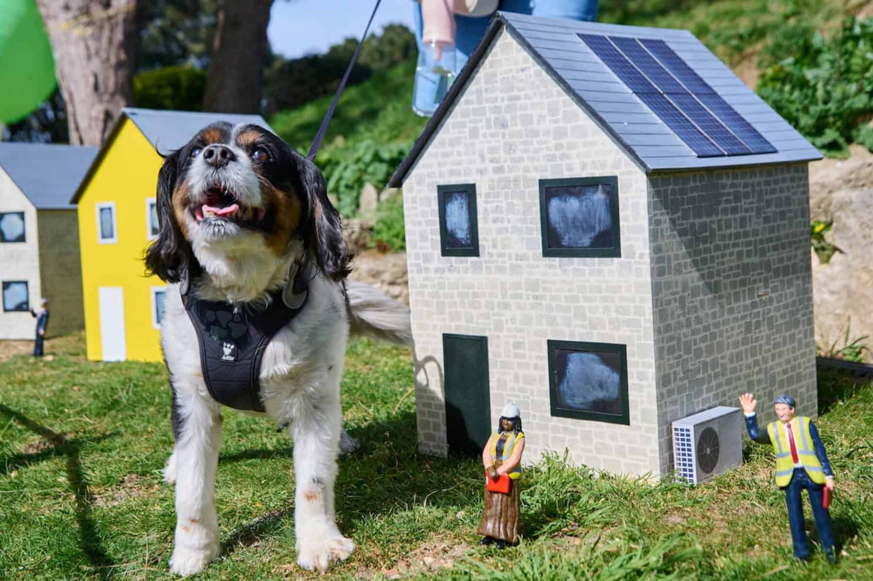 Image for Beacon of light: the model village retrofitted into a tiny renewables kingdom