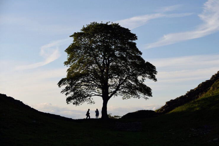 Image for ‘Turning a moment of loss into something hopeful’